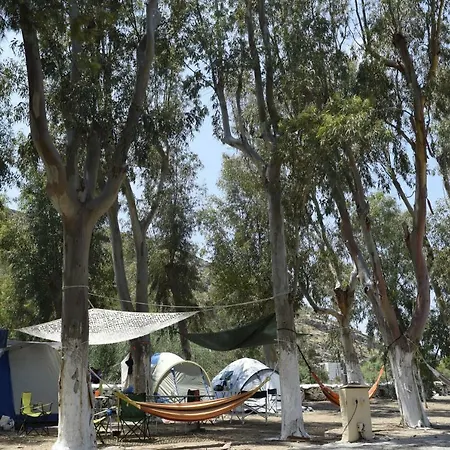 Kea Camping Pisses